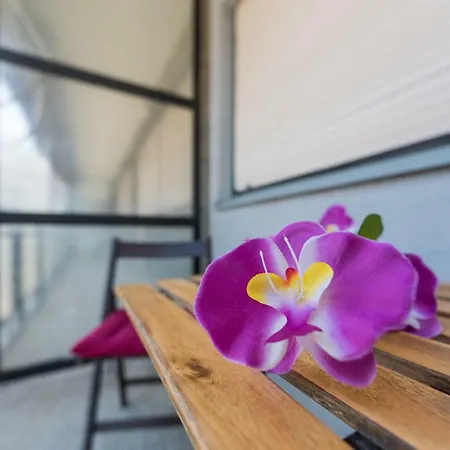 Apartamento Miris Mora
